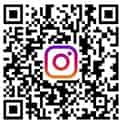 ins1